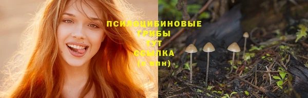 mdma Новодвинск