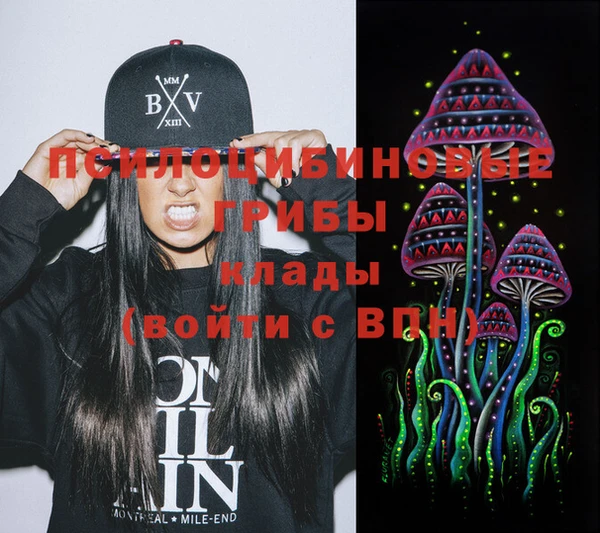 mdma Новодвинск