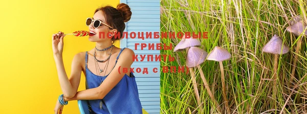 хмурый Нязепетровск