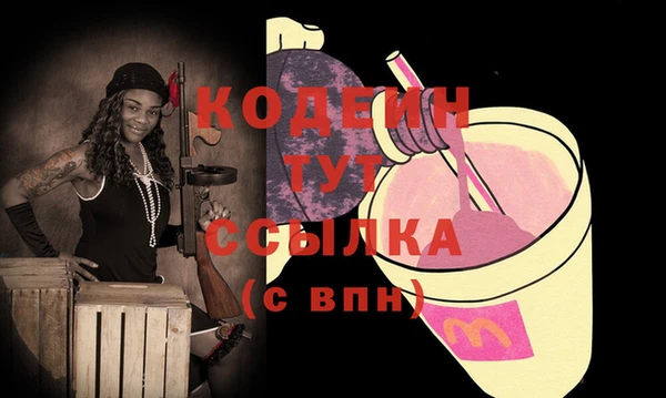 ECSTASY Няндома