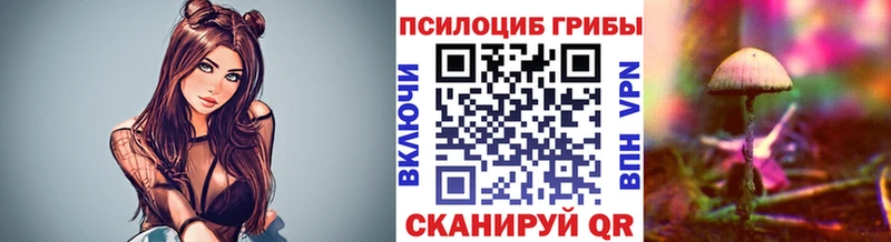 kraken онион  как найти закладки  Кимовск  нарко площадка клад  Псилоцибиновые грибы ЛСД 