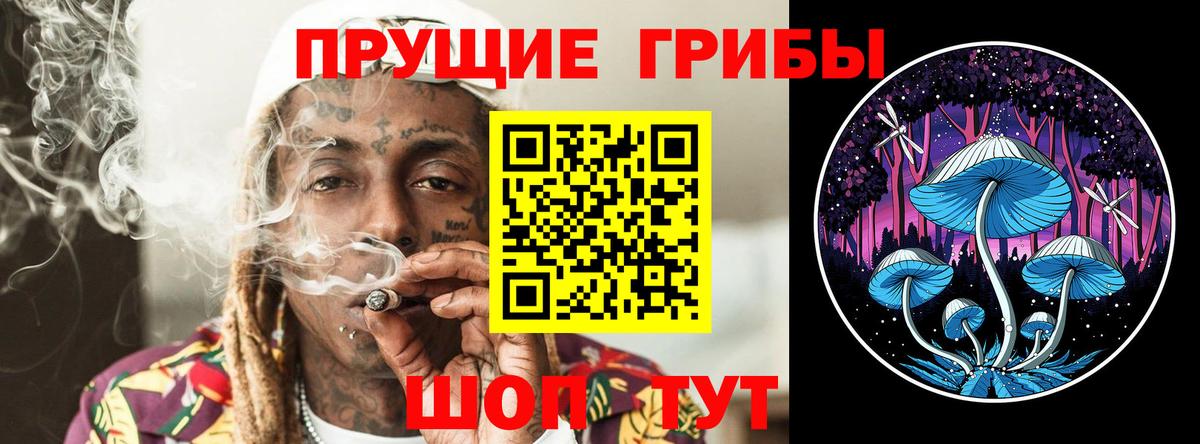 Псилоцибиновые грибы Psilocybine cubensis Кимовск