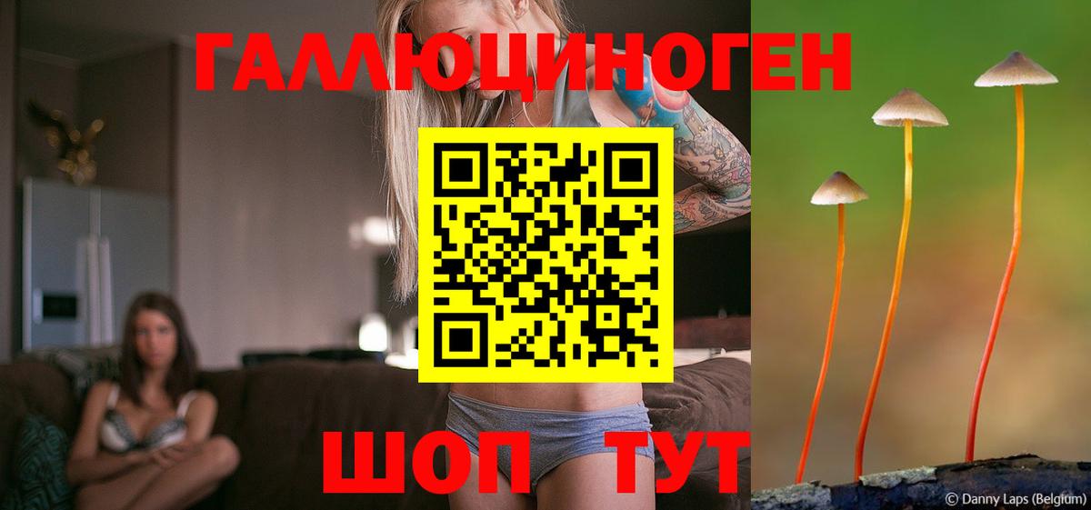 Кимовск  где купить   Вход с VPN  Псилоцибиновые грибы Cubensis 